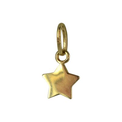 Silventi 132400337 Gouden Hangertje - Dames - Ster - 5,5 mm - 14 Karaat - Bedel - Goud