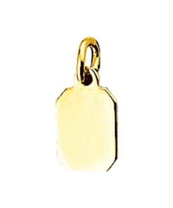 14K geelgoud graveerhanger 4006547