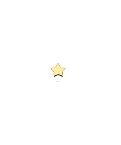 Lev sieraden14 karaat Geelgouden Labret 1.0 x 8 mm met ster 3,5 - Gold - Piercing - labret piercing - neuspiercing staafje - tragus piercing - Monroe piercing- Oorpiercing
