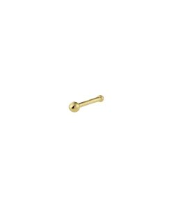 Lev Sieraden 14 karaat geelgoud Neus piercing 2 mm knopje