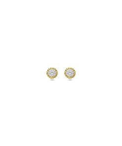 Lev Sieraden oorknoppen zirkonia 4 mm 14 karaat Geelgouden oorknoppen uitgevoerd met zirkonia