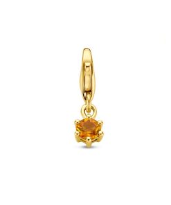 Slotbedel Met Geboortesteen 14K Geelgoud