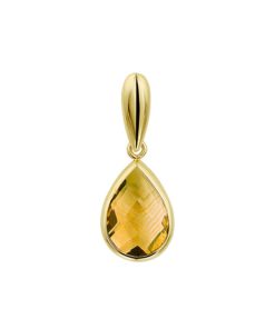 14K geelgoud hanger citrien 4027099