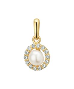 Hanger Parel En Zirkonia