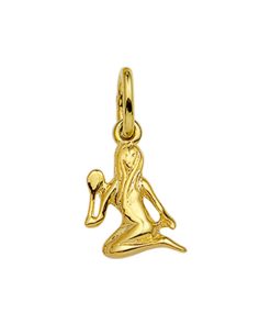 Hanger Sterrenbeeld 14K Geelgoud
