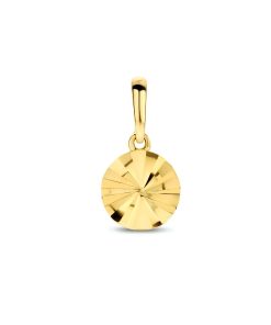 14K geelgoud hanger rondje gediamanteerd 4028289