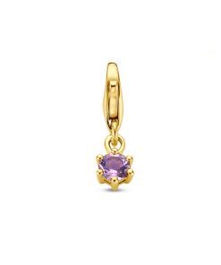 Slotbedel Met Geboortesteen 14K Geelgoud