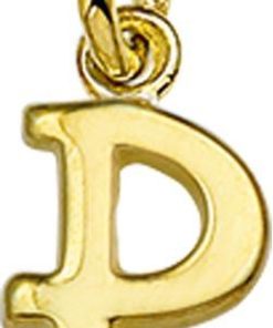 The Jewelry Collection Hanger Letter P - Goud