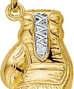 Vigor hanger bokshandschoen - Goud