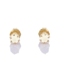 Oorknopjes Geboortesteen Juni Maansteen Goud | cadeau dames