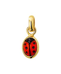 hanger lieveheersbeestje