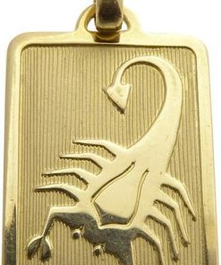 Gouden schorpioen sterrenbeeld hanger