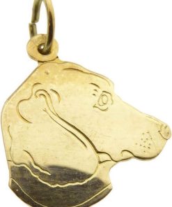 Gouden hond hoofd hanger