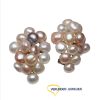 Verlinden Juwelier | oorclips  -  goud  -  14 karaat  -  zoetwaterparel  -  14 karaat  -  juwelier verlinden | Nu te koop bij 14Karaats.nl | 10001087-Earrings/Body-piercing Jewellery