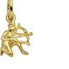 The Jewelry Collection | Hanger Sterrenbeeld 14K Geelgoud | Nu te koop bij 14Karaats.nl | 10001090-Necklaces/Necklets