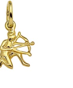 The Jewelry Collection | Hanger Sterrenbeeld 14K Geelgoud | Nu te koop bij 14Karaats.nl | 10001090-Necklaces/Necklets