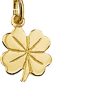 Kasius | 14K Geelgouden Hanger klaver - PSN4018518 | Nu te koop bij 14Karaats.nl | 10001091-Pendants