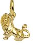 The Jewelry Collection | Hanger Sterrenbeeld 14K Geelgoud | Nu te koop bij 14Karaats.nl | 10001090-Necklaces/Necklets
