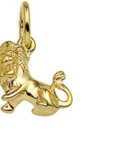 The Jewelry Collection | Hanger Sterrenbeeld 14K Geelgoud | Nu te koop bij 14Karaats.nl | 10001090-Necklaces/Necklets