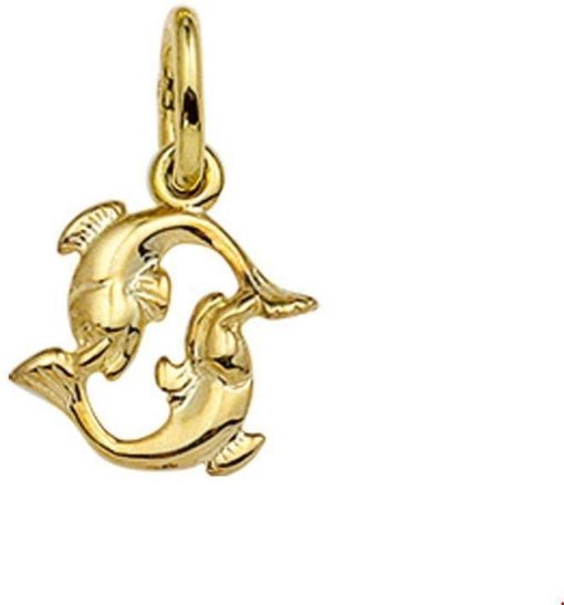 The Jewelry Collection | Hanger Sterrenbeeld 14K Geelgoud | Nu te koop bij 14Karaats.nl | 10001090-Necklaces/Necklets