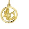 TFT | Geelgouden Bedel sterrenbeeld waterman gediamanteerd  4005688 | Nu te koop bij 14Karaats.nl | 10001091-Pendants