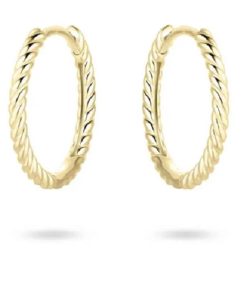 Jonline | Schitterende 14K Gouden Klapoorringen Gedraaid 15 mm. | Nu te koop bij 14Karaats.nl | 10001087-Earrings/Body-piercing Jewellery