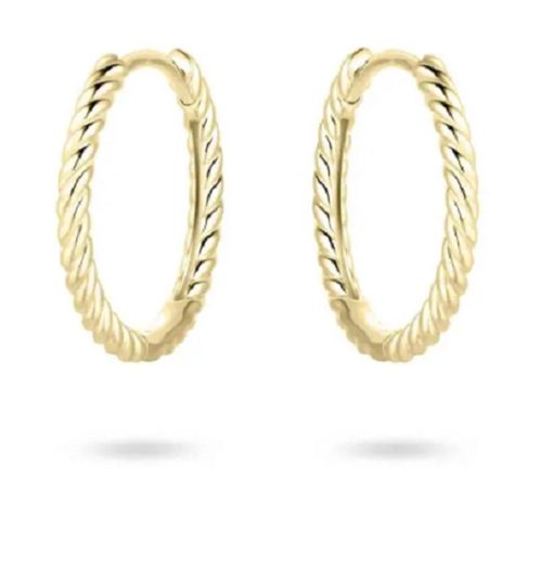 Jonline | Schitterende 14K Gouden Klapoorringen Gedraaid 15 mm. | Nu te koop bij 14Karaats.nl | 10001087-Earrings/Body-piercing Jewellery