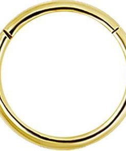 Piercings works | 18 Karaat Gouden Segment Ring (1mm) - Neus Oor Piercing | Nu te koop bij 14Karaats.nl | 10001087-Earrings/Body-piercing Jewellery