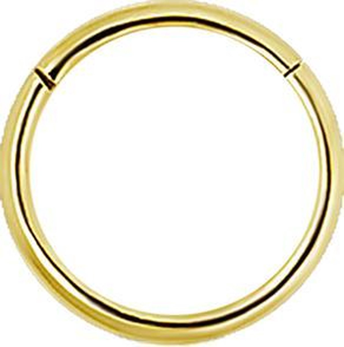 Piercings works | 18 Karaat Gouden Segment Ring (1mm) - Neus Oor Piercing | Koop bij 14Karaats.nl Piercings works | 18 Karaat Gouden Segment Ring (1mm) - Neus Oor Piercing | Nu te koop bij 14Karaats.nl | 10001087-Earrings/Body-piercing Jewellery