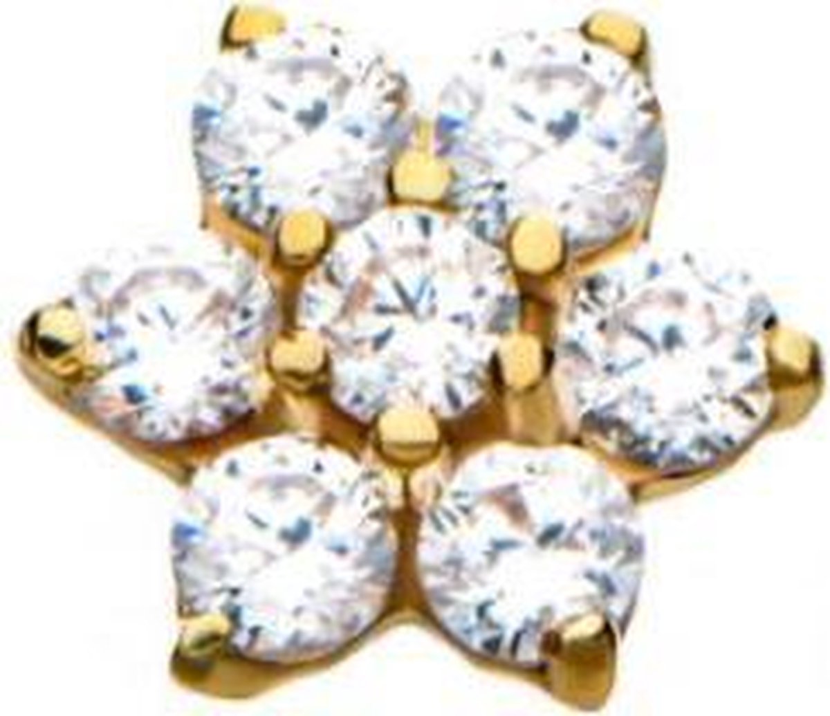 Piercings works | 14 Karaat Gouden Threadless Oor Piercing - Bloemetje | Koop bij 14Karaats.nl Piercings works | 14 Karaat Gouden Threadless Oor Piercing - Bloemetje | Nu te koop bij 14Karaats.nl | 10001087-Earrings/Body-piercing Jewellery