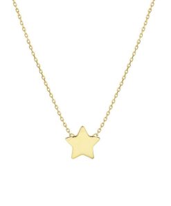 The Fashion Jewelry Collection | The Fashion Jewelry Collection Ketting Ster 1