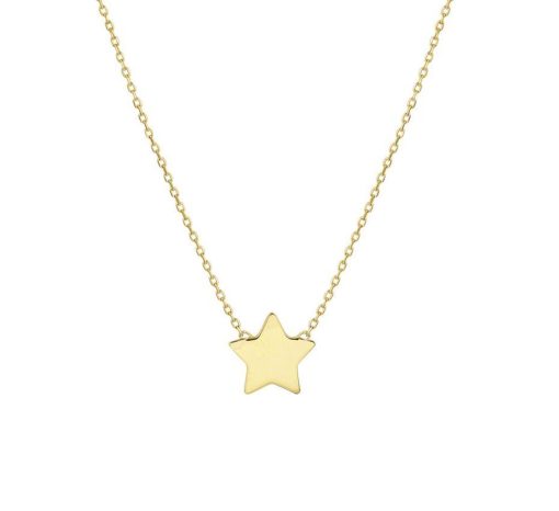 The Fashion Jewelry Collection | The Fashion Jewelry Collection Ketting Ster 1