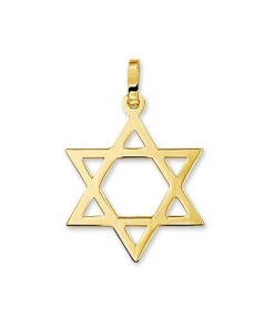 Sense Jewelry | Hanger Davidsster | Nu te koop bij 14Karaats.nl | 10001091-Pendants