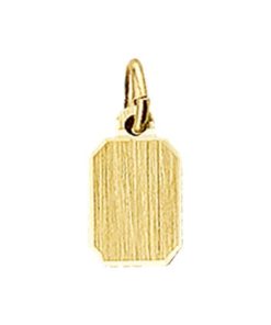 Kasius | 14K geelgoud graveerhanger mat gediamanteerd 4005997 | Nu te koop bij 14Karaats.nl | 10001091-Pendants