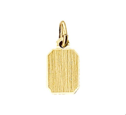 Kasius | 14K geelgoud graveerhanger mat gediamanteerd 4005997 | Nu te koop bij 14Karaats.nl | 10001091-Pendants