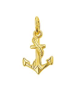 TFT | Geelgouden Bedel anker 4018481 | Nu te koop bij 14Karaats.nl | 10001091-Pendants