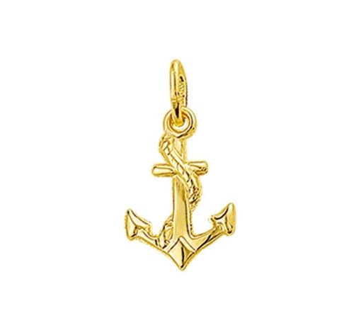 TFT | Geelgouden Bedel anker 4018481 | Nu te koop bij 14Karaats.nl | 10001091-Pendants