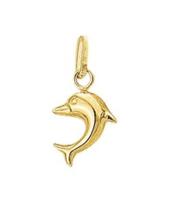 Kasius | Hanger dolfijn - PSN4001724 | Nu te koop bij 14Karaats.nl | 10001091-Pendants