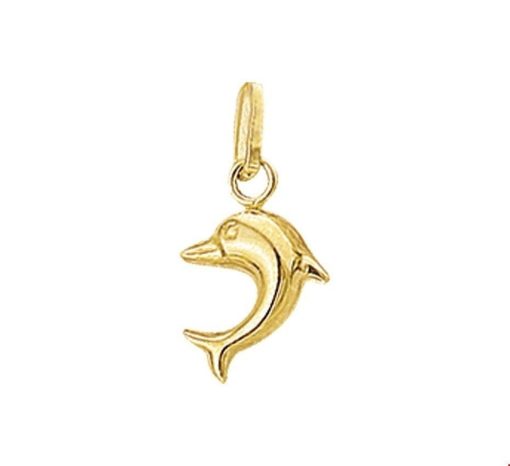 Kasius | Hanger dolfijn - PSN4001724 | Nu te koop bij 14Karaats.nl | 10001091-Pendants
