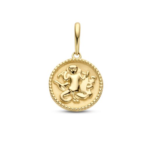 New Bling | New Bling 9NBG-0282 Gouden Sterrenbeeld - Maagd - 10 mm Doorsnee - 14 karaat - Goud | Nu te koop bij 14Karaats.nl | 10001091-Pendants
