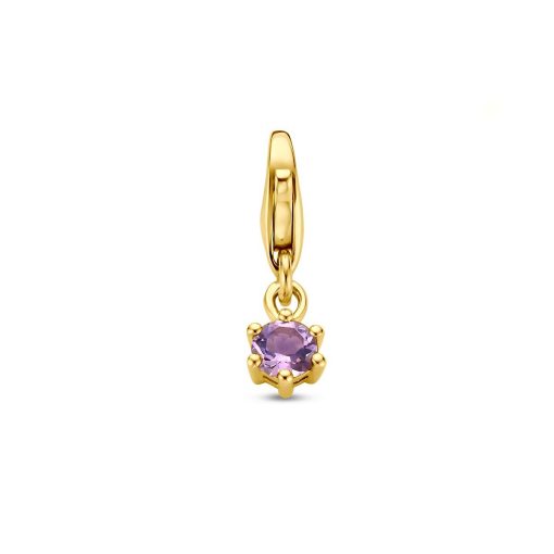 Its-Beautiful | Slotbedel Met Geboortesteen 14K Geelgoud | Nu te koop bij 14Karaats.nl | 10001091-Pendants