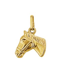Its-Beautiful | Hanger Paardenhoofd 14K Geelgoud | Nu te koop bij 14Karaats.nl | 10001091-Pendants