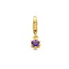 Its-Beautiful | Slotbedel Met Geboortesteen 14K Geelgoud | Nu te koop bij 14Karaats.nl | 10001091-Pendants