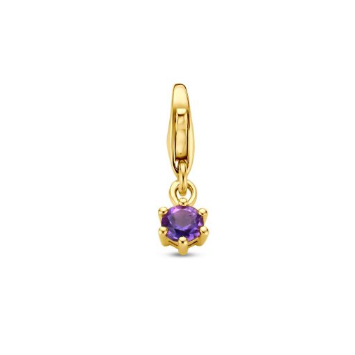 Its-Beautiful | Slotbedel Met Geboortesteen 14K Geelgoud | Nu te koop bij 14Karaats.nl | 10001091-Pendants