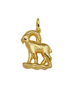 Its-Beautiful | Hanger Sterrenbeeld 14K Geelgoud | Nu te koop bij 14Karaats.nl | 10001091-Pendants