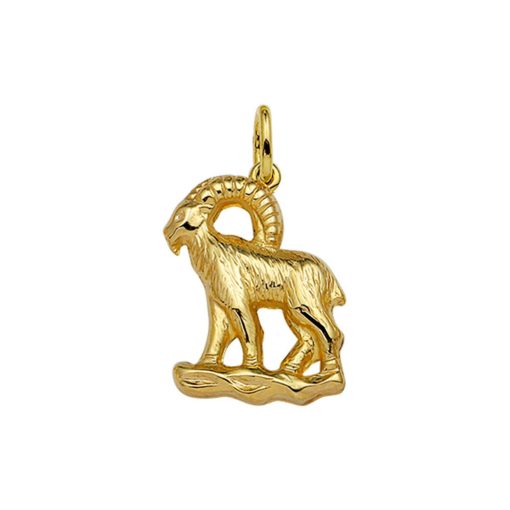 Its-Beautiful | Hanger Sterrenbeeld 14K Geelgoud | Nu te koop bij 14Karaats.nl | 10001091-Pendants