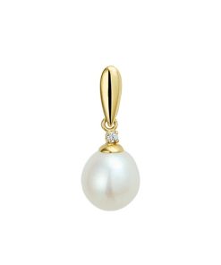 Its-Beautiful | hanger parel en zirkonia 14 x 8