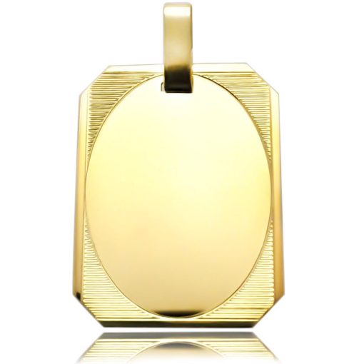 Zwartevalk | Juwelier Zwartevalk 14 karaat gouden plaat hanger - 14.194 | Nu te koop bij 14Karaats.nl | 10001091-Pendants