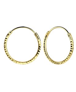 JYC | Joy|S - Zilveren oorringen 16 mm - diamond cut - gold plated - t50 | Nu te koop bij 14Karaats.nl | 10001087-Earrings/Body-piercing Jewellery