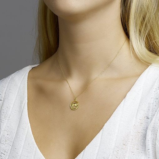 Sense Jewelry | Hanger Sterrenbeeld Gediamanteerd | Nu te koop bij 14Karaats.nl | 10001091-Pendants